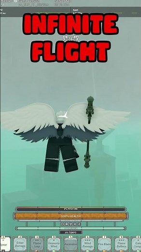 INFINITE FLIGHT BUILD IN DEEPWOKEN