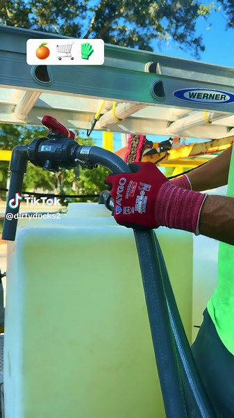 Cleaning Dirty Ducks with Pressure Washing Techniques