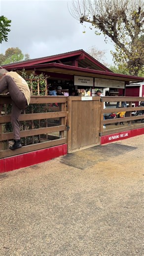 "no, climbing fence" #funny | fence