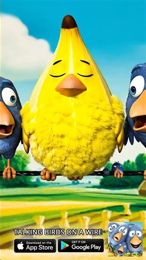 What happened to his head?! 😱 Talking Birds On A Wire Game