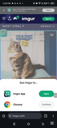 Imgur Review – Free Image Hosting & Sharing Platform Explained