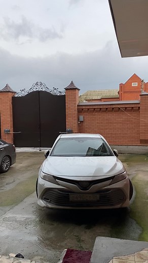 Scenic Driveway View with Parked Cars