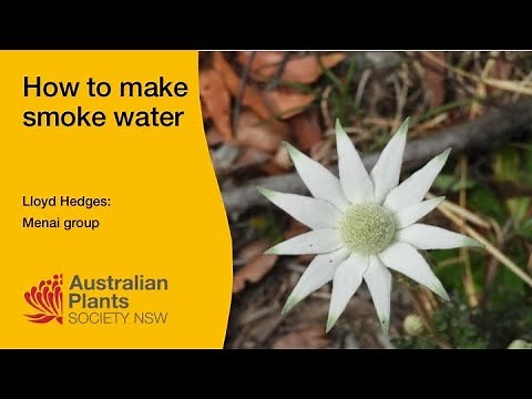 How to Make Smoked Water