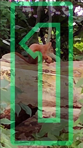 321 go countdown sound effect (go fast) timer 3 seconds (3sec) 3 2 1 0