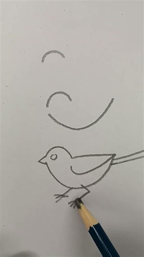 Easy way to draw a bird #birds #birdsong #birdsounds #animals #art