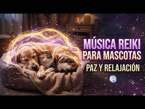 🐾 Música Reiki para Mascotas | Relajación, Paz y Bienestar para Perros y Gatos 💜