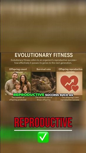 Evolutionary Fitness: Understanding Survival & Reproductive Success