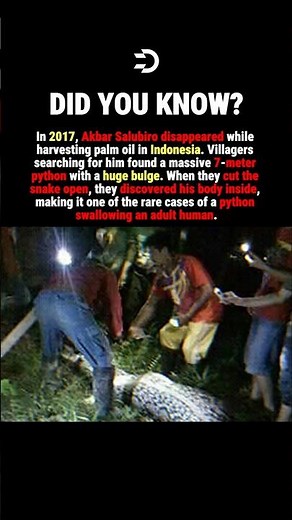 He Was SWALLOWED By A Python #history #facts