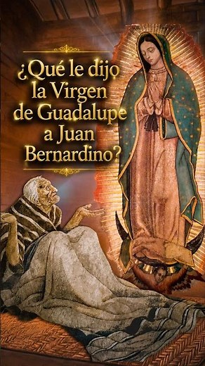 19th Contemplating the image of the Virgin of Guadalupe | Father Eduardo Chávez