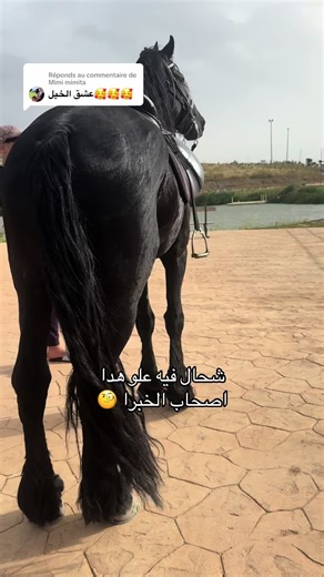 معلومات حول العلو في حفل غنائي