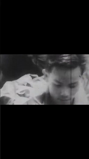 The Sound of Silence Disturbed ベトナム戦争1955-1975