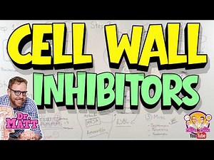 Cell Wall inhibitors | Antibiotics