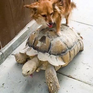 5.9M views · 10K reactions | Why can't we be friends? | Ma Baby Love | Facebook