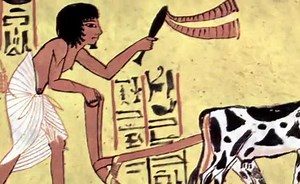 Sorry, we have encountered a problem. - Alexander Street, a ProQuest Company