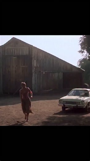 @crushedclip on Instagram: "This account is available for sale if you are interested Dm Some horror doesn’t come from monsters in the dark… it comes from something that should have been safe. Cujo turns an ordinary family nightmare into relentless terror when a once-friendly dog becomes violently rabid, trapping a mother and her young son inside a broken-down car under the burning sun. With no help nearby and time running out, survival becomes a slow, suffocating fight against fear, heat, and ex