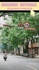 27 reactions | Ready to explore the vibrant streets of Shanghai? ✨...