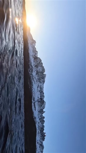 The strikingly contrasting extremes of the arctic circle make these animal encounter so unique and beautiful. A huge bucket list ticked off for many on this trip but most importantly sharing this ethical experience with new friends was definitely the highlight of it all. I think orcas are officially my favorite marine animal 😍 #marinelife #ocean #oceanlover #orca | Cindy Yang