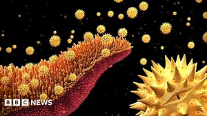 The art of science - Wellcome Images 2015