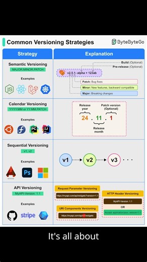 Common versioning strategies, Which is Better #chamnetquan #developer #softwareengineering