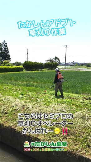 2026 草刈作業 #shorts #草刈 #アドプト #建設業 #TAKASHIN #土木 #たかしん #初夏