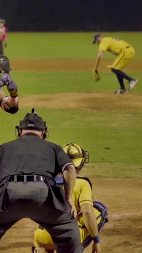 thesavbananas on TikTok