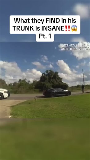 The LSD Experience (@thelsdexperience0)’s videos with original sound - thelsdexperience0 - The LSD Experience