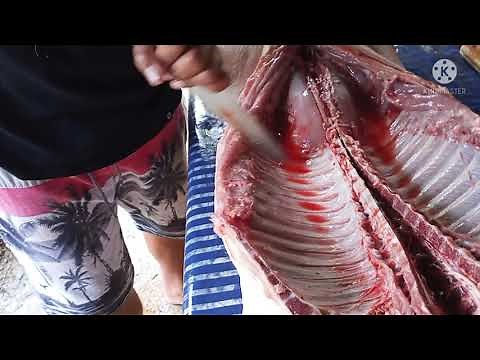 How to cook Lechon baboy step by step /Step 2: Pag dismantle ng buto at pagtatahi sa tubo