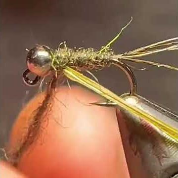 Blue winged olive nymph