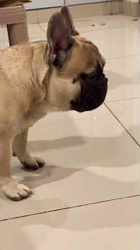 #bas itta sa hi pyara karta hai mughse😩