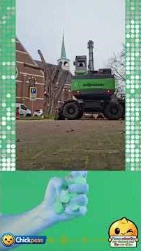 Massive Grapple Saw Machine Removing an Old Chestnut Tree - Timelapse #viral #trending #tree