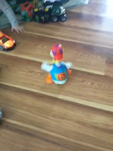 Watch Hip Hop Dancing Goose Toys for Kids on Amazon Live