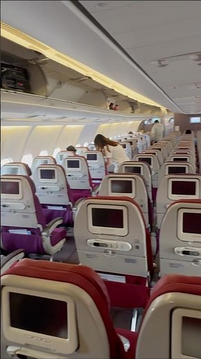 Malaysia Airlines Economy Class Airbus A330-300