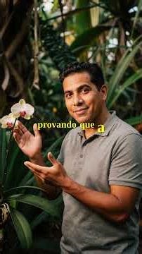 Como as Plantas Evoluem em Silêncio Para Sobreviver ao Impossível