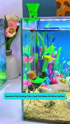Aquarium Fish Feeding Tube | Feed Fish Below the Water Surface #fishtank #tools