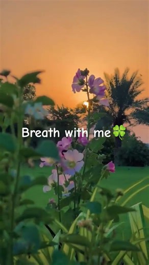 Breathe with me 🌿