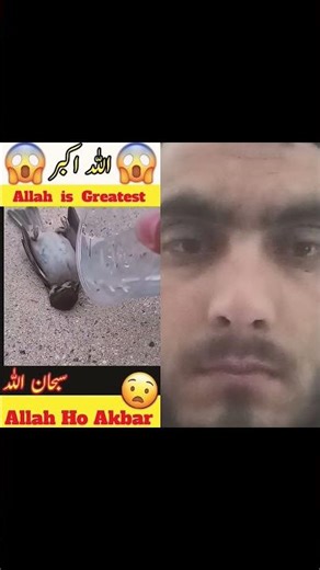 Jaan hazar ha mustafa ka laya #rells #india #happy #tiktok #quran #jokes #like #viral #animals #ai