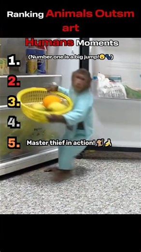 Animals Outsmarting Humans 😲🐶🐱 Top 5 Clever & Hilarious Moments #Shorts