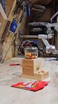 DIY Wooden Candy Machine – Build Highlights CandyMachine #WoodworkingShorts #DIYBuild