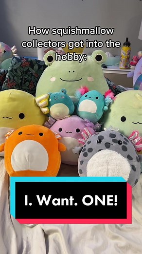 Frog Collector Discovers Blue Alien Squishmallow - A Must-Have Plushie!