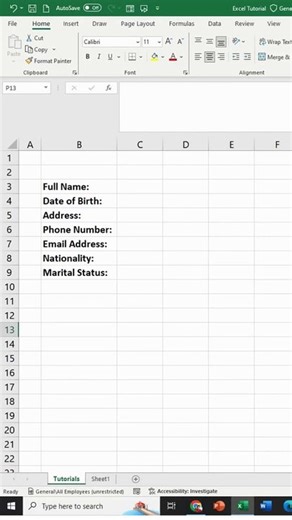 Create a Professional Form in Excel