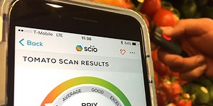 What Happened When We Took the SCiO Food Analyzer Grocery Shopping