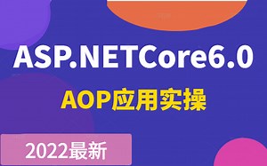 C#/.NET/ASP.NET Core6.0后端编程开发零基础教程合集(AOP应用实操全面解读落地实战/.NET5/.NET6/C#/WPF)B0651