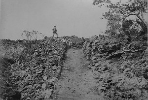 VOLCANO WATCH: Where You Gonna Go When the Volcano Flows? | Big Island Now