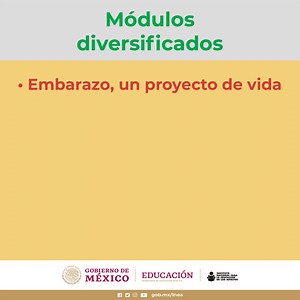 📚Los módulos diversificados del MEVyT se vinculan con temas basados en tus intereses, para que desarrolles los conocimientos y competencias necesarios y te desenvuelvas en mejores condiciones dentro de los ámbitos personal, familiar, laboral y social. Consúltalos 👉 https://bit.ly/38waXks | INEA Nacional