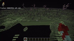 Far lands in the end 1.19 Coordinates -30003548 129 122