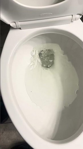 Newer sterling windham toilet