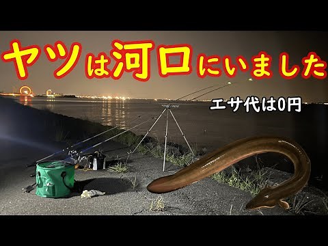 揖斐川河口でうなぎ釣り！エサ代0円をぶっ込む。釣れたのは・・