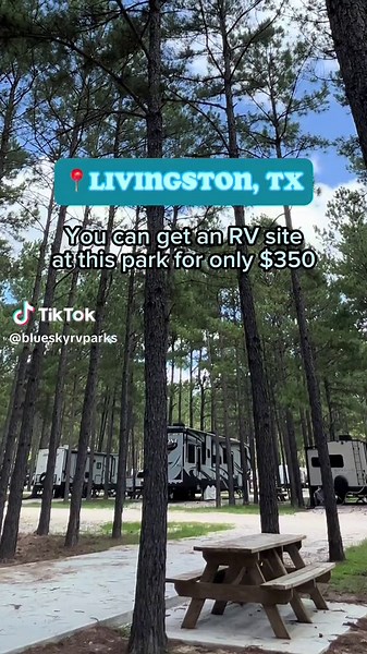 This is such a hidden gem of an RV Park. Located just an hour from Houston, TX, Blue Sky Lake Livingston has everything a camper needs and more! PLUS this month is only $350? That’s a win. #rvpark #rvparks #livingstontx #houstontx #rvtiktok #rvfulltime