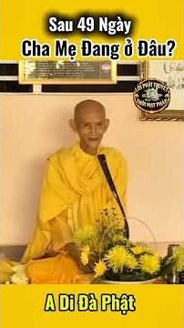 Tụng Kinh gì để cứu cha mẹ khỏi 4 đường ác?#thichgiackhang #phatphap #tinhdo #niemphat