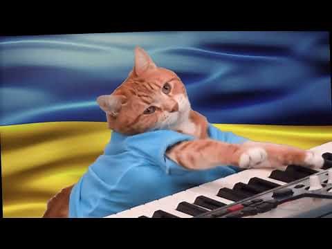 Keyboard Cat Support